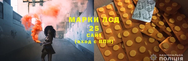 ГАЛЛЮЦИНОГЕННЫЕ ГРИБЫ Абаза
