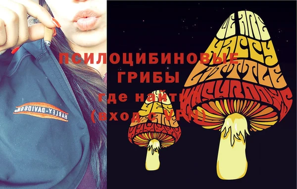 синтетический гашиш Алексин