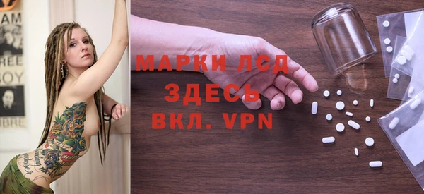 ГАЛЛЮЦИНОГЕННЫЕ ГРИБЫ Абаза