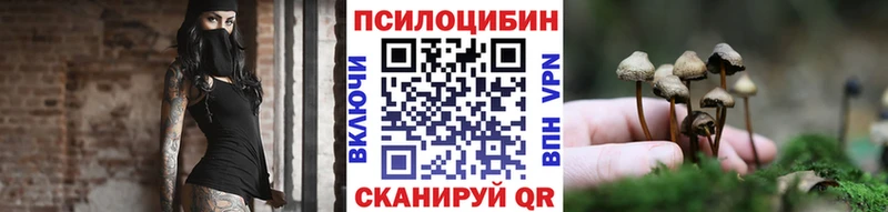 Галлюциногенные грибы Psilocybe  Бугуруслан 