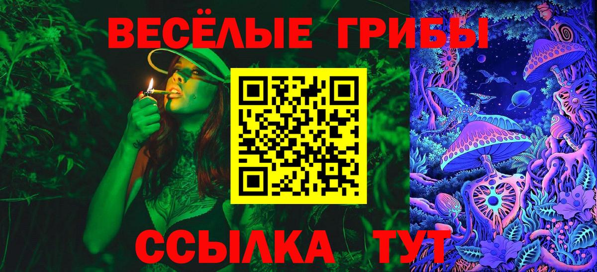 Псилоцибиновые грибы Psilocybe Бугуруслан